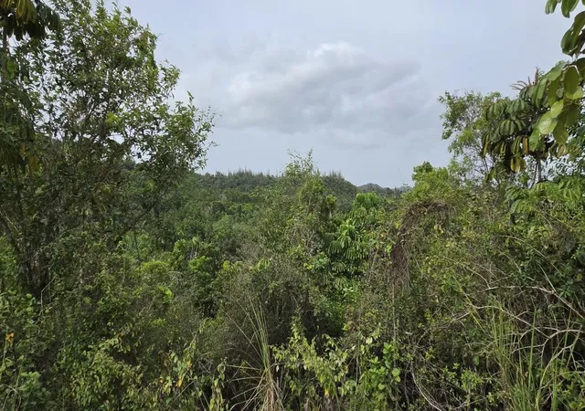 Homes for sale in Vega Alta, PR | Pr 669 Km 03 Int Pr 828, Vega Alta, PR 00692 | MLS# PR9122341