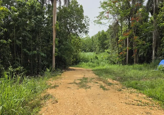 Homes for sale in Vega Alta, PR | Pr 669 Km 03 Int Pr 828, Vega Alta, PR 00692 | MLS# PR9122341