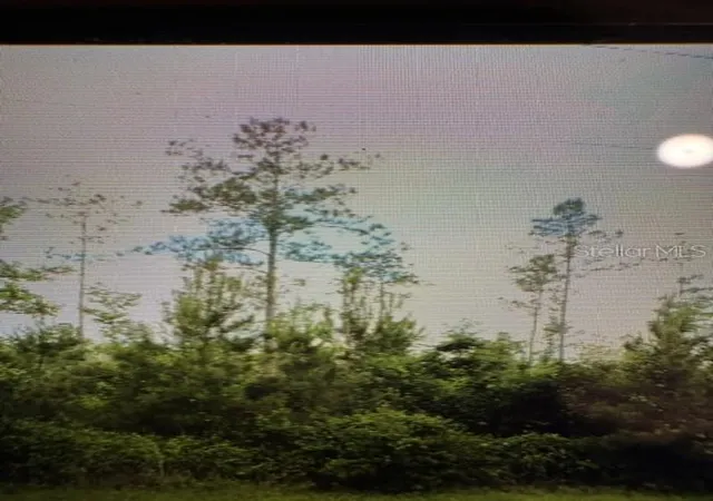 Photo 1 of Land for sale at County Rd 305, Bunnell, FL 32110 | MLS# FC319534 | Listing updated on 2026-09-06