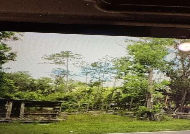 Photo 2 of Land for sale at County Rd 305, Bunnell, FL 32110 | MLS# FC319534 | Listing updated on 2026-09-06
