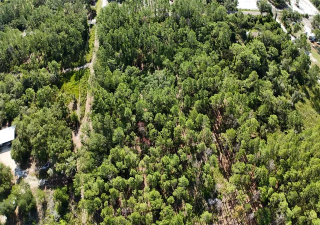 Homes for sale in Dunnellon, FL | Xx Sw 156th Pl, Dunnellon, FL 34432 | MLS# O6420204