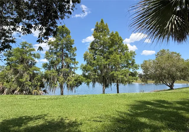 Photo 3 of House for sale at 2316 Palm Tree Dr, Kissimmee, FL 34759 | MLS# S5152555 | Listing updated on 2026-08-18