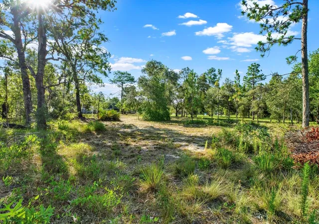 Homes for sale in Brooksville, FL | 0 Condor Rd, Brooksville, FL 34614 | MLS# TB8523577
