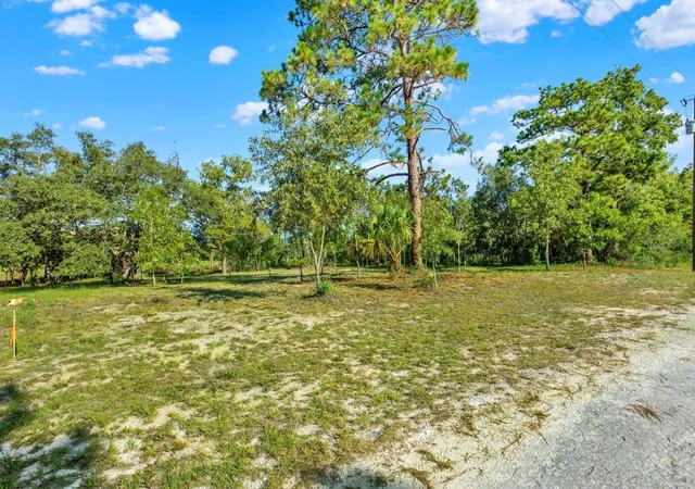 Homes for sale in Brooksville, FL | 0 Condor Rd, Brooksville, FL 34614 | MLS# TB8523577