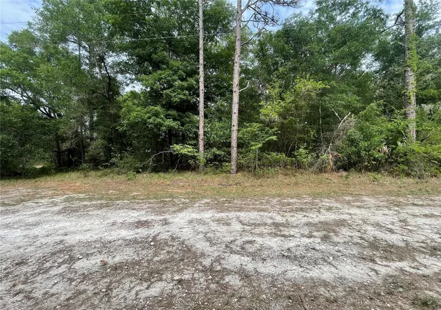 Homes for sale in Brooksville, FL | 16486 Curlew Rd, Brooksville, FL 34614 | MLS# O6420255