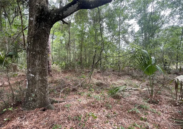Homes for sale in Brooksville, FL | 16486 Curlew Rd, Brooksville, FL 34614 | MLS# O6420255