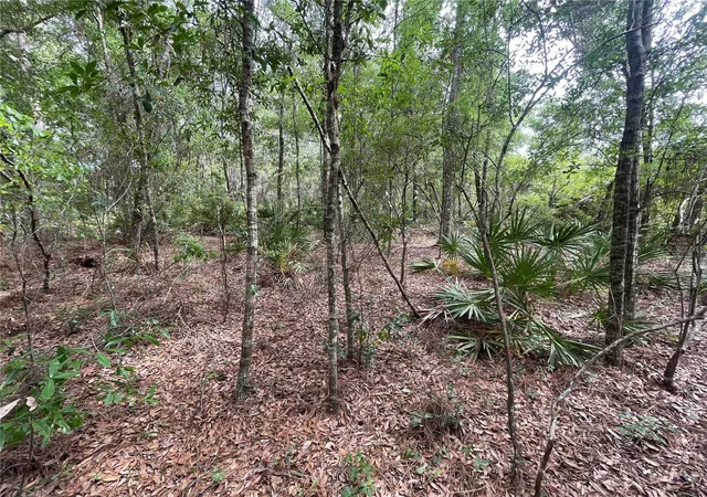 Homes for sale in Brooksville, FL | 16486 Curlew Rd, Brooksville, FL 34614 | MLS# O6420255