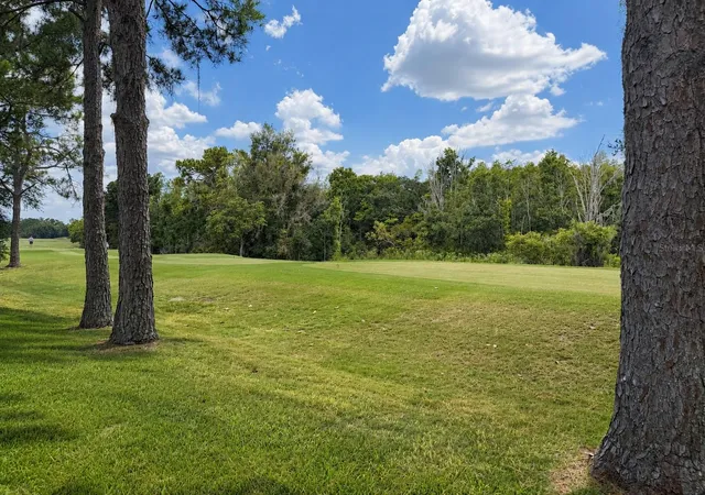 Photo 3 of Single family home for sale at 17422 Heather Oaks Pl, Tampa, FL 33647 | MLS# TB8523600 | Listing updated on 2026-08-12