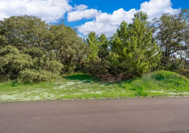 Photo 2 of Land for sale at 2017 Maple Ln, Kissimmee, FL 34759 | MLS# S5152563 | Listing updated on 2026-08-31