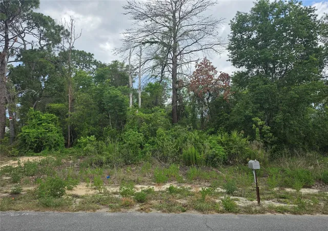 1st image of 3475 El Prado Ave, Spring Hill, FL 34609 | MLS# OM727465