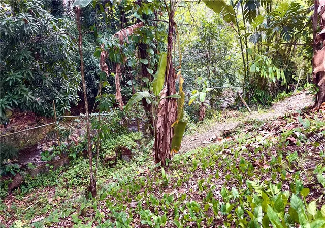 Homes for sale in Ponce, PR | (Undisclosed), Ponce, PR 00731 | MLS# PR9122355
