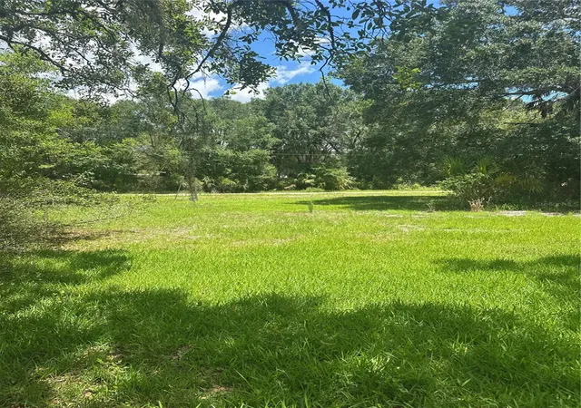 Photo 4 of Land for sale at 10828 E Freddy St, Inverness, FL 34450 | MLS# O6420363 | Listing updated on 2026-08-22