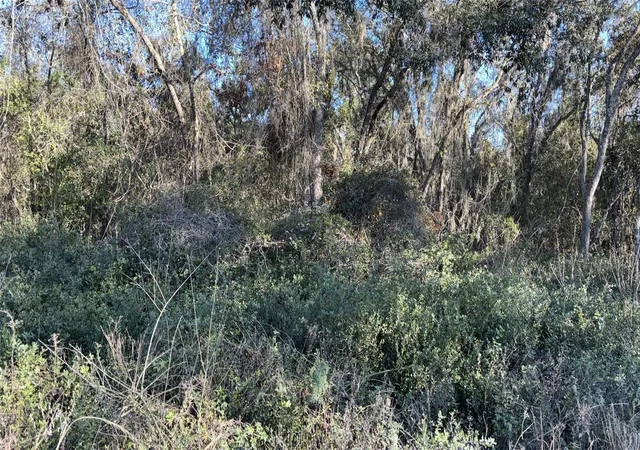 Photo 1 of Land for sale at 0 Bounty/barrett, New Port Richey, FL 34654 | MLS# W7887111 | Listing updated on 2026-08-27