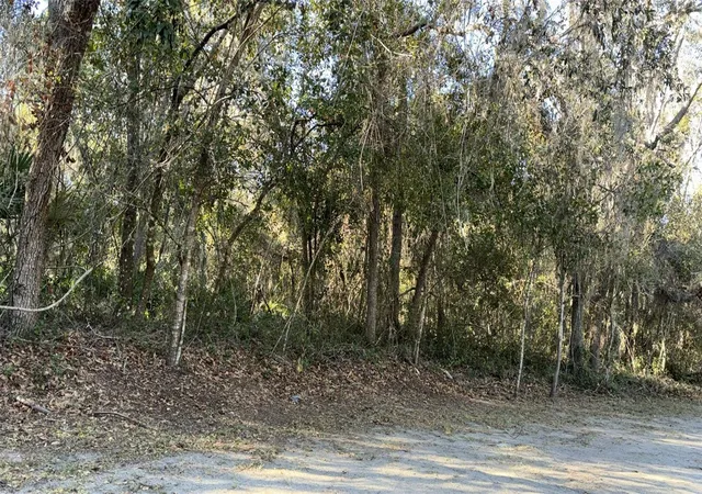 Photo 3 of Land for sale at 0 Bounty/barrett, New Port Richey, FL 34654 | MLS# W7887111 | Listing updated on 2026-08-27