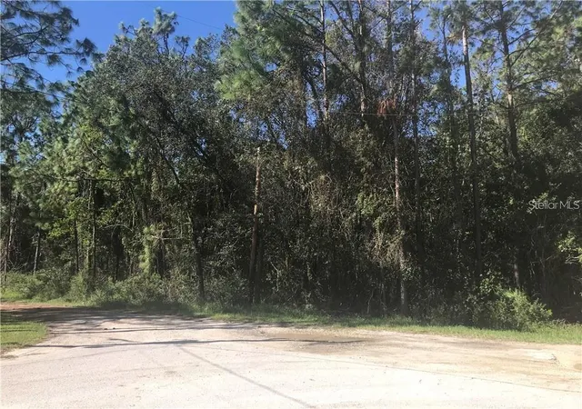2nd image of 7341 Westpoint Dr, Wesley Chapel, FL 33544 | MLS# TB8523807