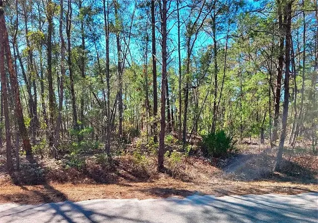 1st image of 76 Fisher Run Ter, Ocklawaha, FL 32179 | MLS# A4698288