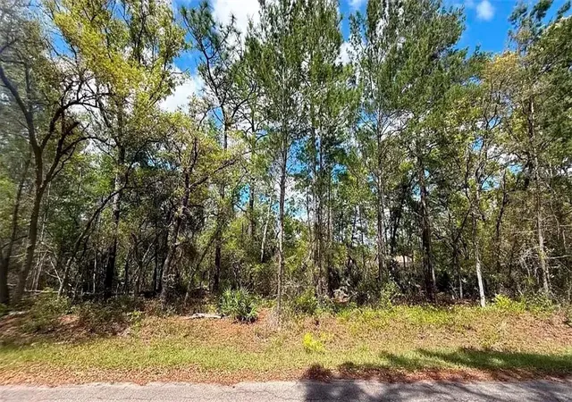 3rd image of 76 Fisher Run Ter, Ocklawaha, FL 32179 | MLS# A4698288