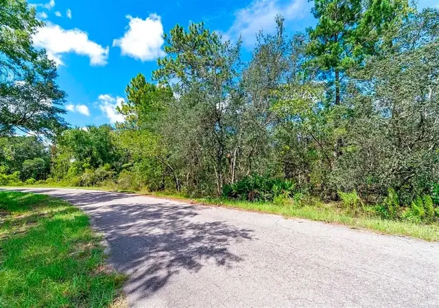 4th image of 76 Fisher Run Ter, Ocklawaha, FL 32179 | MLS# A4698288