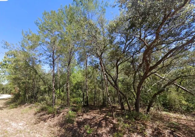 5th image of 76 Fisher Run Ter, Ocklawaha, FL 32179 | MLS# A4698288