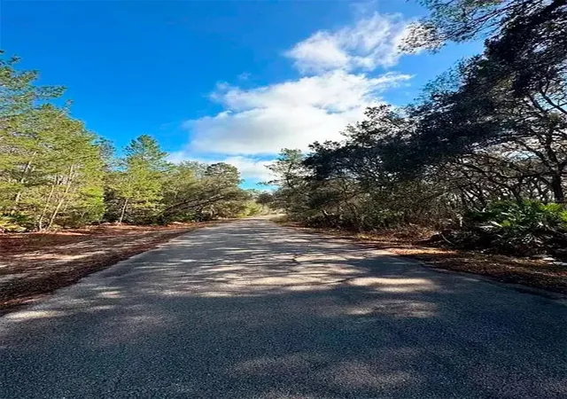 6th image of 76 Fisher Run Ter, Ocklawaha, FL 32179 | MLS# A4698288