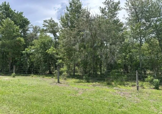 Homes for sale in Morriston, FL | Se 16 Ln, Morriston, FL 32668 | MLS# GC541519