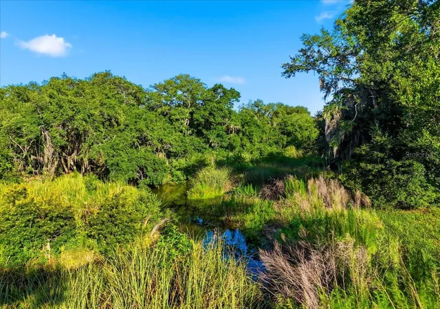 5th image of Deer Rd, Frostproof, FL 33843 | MLS# L4963117