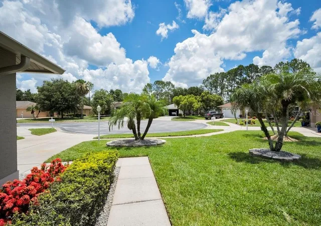 3rd image of 1253 Eveningside Ct, Trinity, FL 34655 | MLS# W7887139
