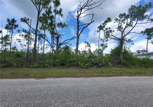 Photo 3 of Land for sale at 14114 Clarissa Ln, Port Charlotte, FL 33981 | MLS# D6147929 | Listing updated on 2026-06-29