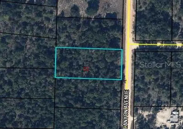 1st image of 0 Canyon Ave, Alford, FL 32420 | MLS# C7527818