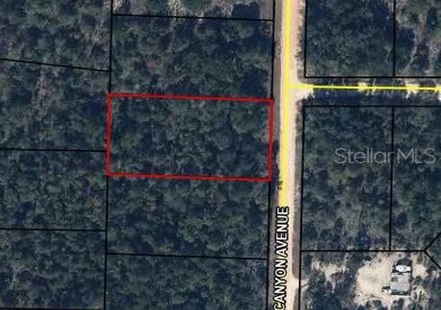 4th image of 0 Canyon Ave, Alford, FL 32420 | MLS# C7527818