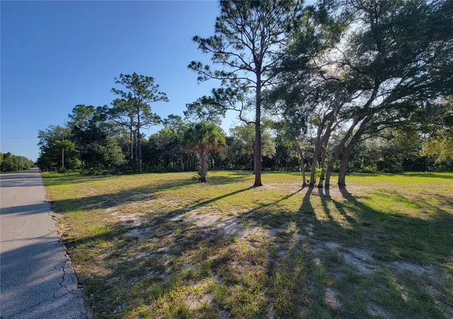 Homes for sale in Homosassa, FL | 2075 S Colonial Ave, Homosassa, FL 34448 | MLS# TB8523976