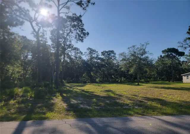 4th image of 2075 S Colonial Ave, Homosassa, FL 34448 | MLS# TB8523976
