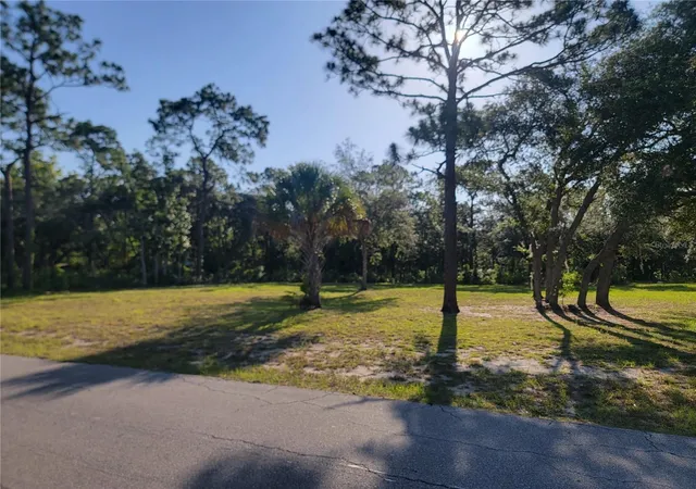 Homes for sale in Homosassa, FL | 2075 S Colonial Ave, Homosassa, FL 34448 | MLS# TB8523976