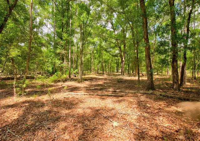 Photo 3 of Manufactured home for sale at 3450 NE 48th Avenue, High Springs, FL 32643 | MLS# OM727524 | Listing updated on 2026-06-28