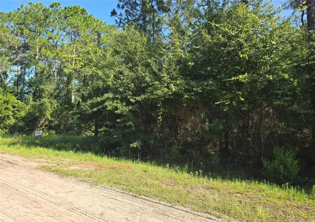 Homes for sale in Bunnell, FL | 5446 Mango Ave, Bunnell, FL 32110 | MLS# FC319565