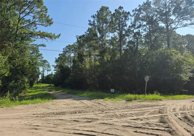 Homes for sale in Bunnell, FL | 5446 Mango Ave, Bunnell, FL 32110 | MLS# FC319565