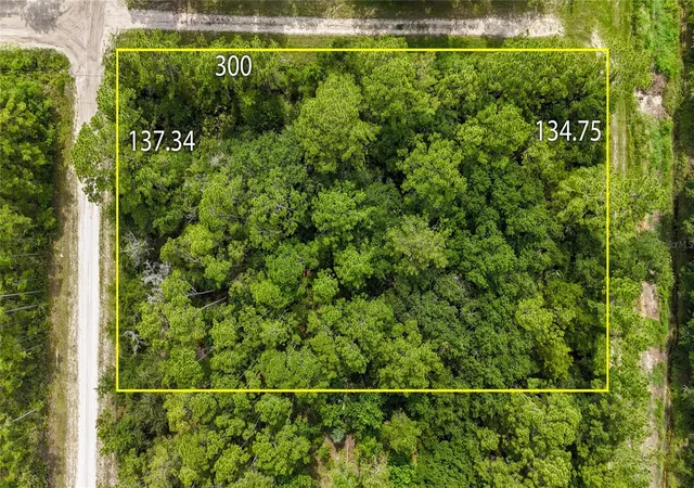 Homes for sale in Bunnell, FL | 5446 Mango Ave, Bunnell, FL 32110 | MLS# FC319565