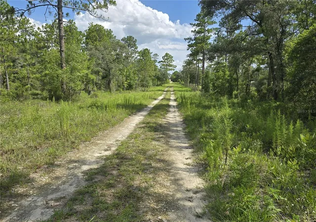 Photo 4 of Land for sale at 00 NE 121st Avenue, Williston, FL 32696 | MLS# OM727533 | Listing updated on 2026-08-11