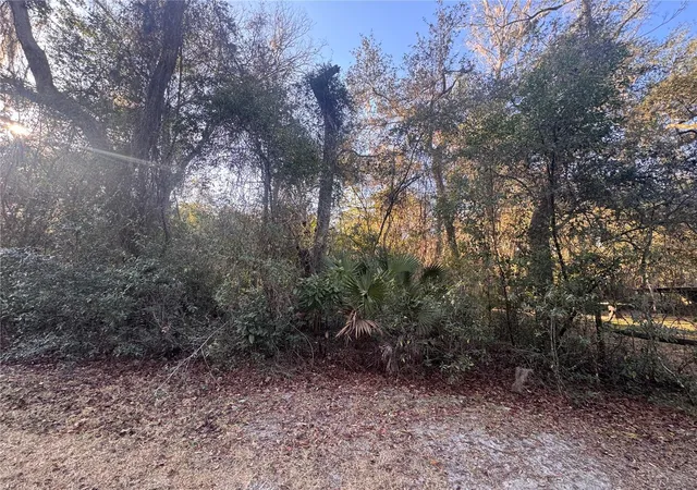 Photo 2 of Land for sale at 0 198th Lane, Fort Mc Coy, FL 32134 | MLS# TB8524091 | Listing updated on 2026-06-29