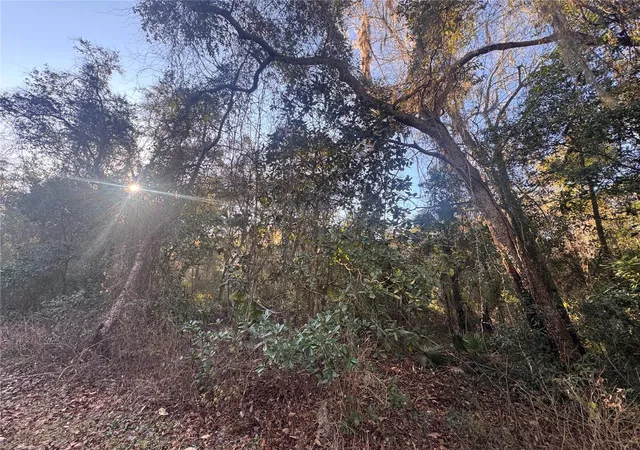 Photo 4 of Land for sale at 0 198th Lane, Fort Mc Coy, FL 32134 | MLS# TB8524091 | Listing updated on 2026-06-29