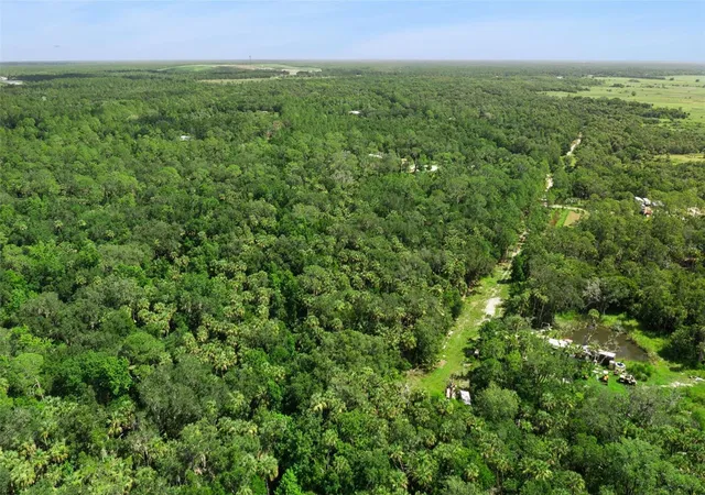 5th image of 2401 Canvasback Trl, Geneva, FL 32732 | MLS# O6420671