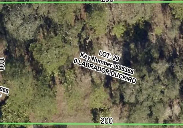 2nd image of Labrador Duck Rd, Weeki Wachee, FL 34614 | MLS# TB8524133
