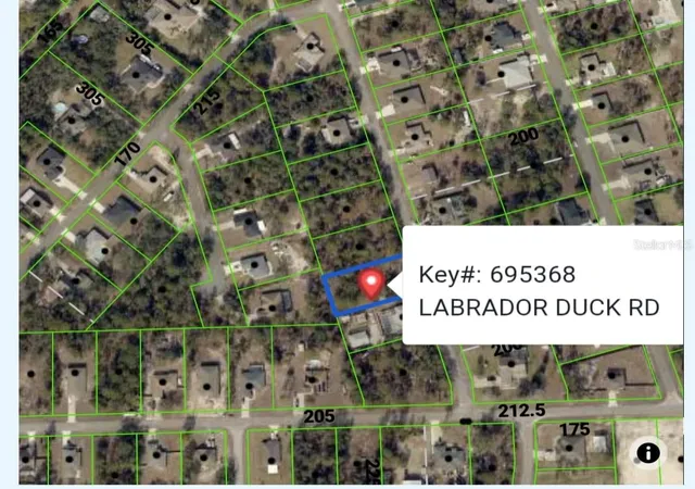 1st image of Labrador Duck Rd, Weeki Wachee, FL 34614 | MLS# TB8524133