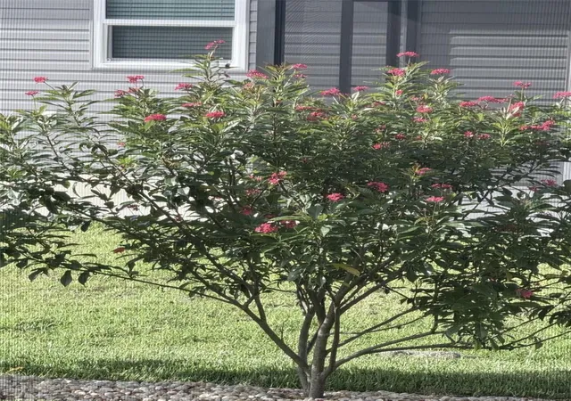 25th image of 2790 Carytown Loop, The Villages, FL 32163 | MLS# TB8524138