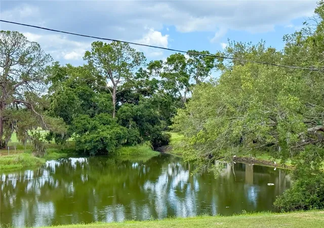33rd image of 2650 Tanglewood Trl, Palm Harbor, FL 34685 | MLS# TB8524163