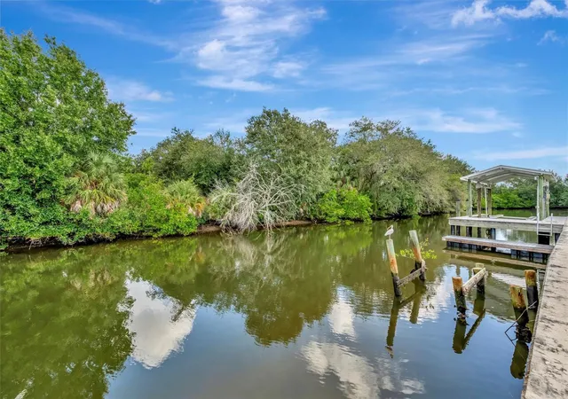 4th image of 236 N Saint Thomas Cir, Apollo Beach, FL 33572 | MLS# TB8524203