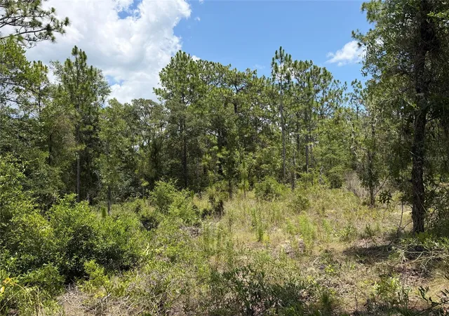 Photo 1 of Land for sale at 00 Ne 65th Terrace, Williston, FL 32696 | MLS# OM727574 | Listing updated on 2026-07-01