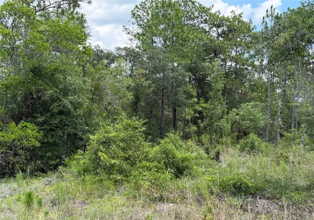 Photo 2 of Land for sale at 00 Ne 65th Terrace, Williston, FL 32696 | MLS# OM727574 | Listing updated on 2026-07-01