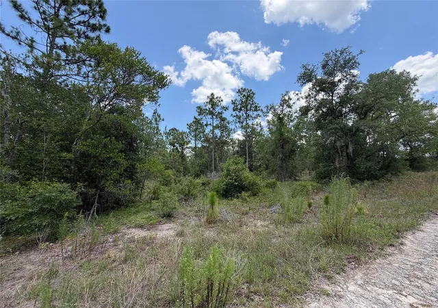 Photo 3 of Land for sale at 00 NE 65th Terrace, Williston, FL 32696 | MLS# OM727574 | Listing updated on 2026-07-01