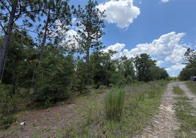 Photo 4 of Land for sale at 00 NE 65th Terrace, Williston, FL 32696 | MLS# OM727574 | Listing updated on 2026-07-01